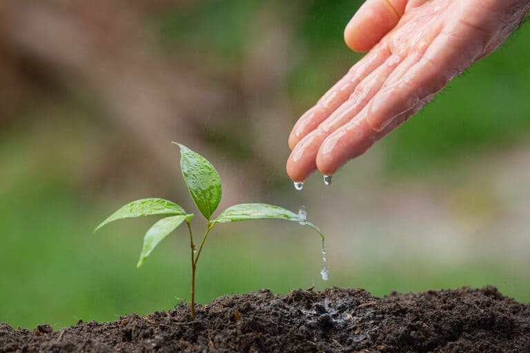 gama de productos eco dermohigiene