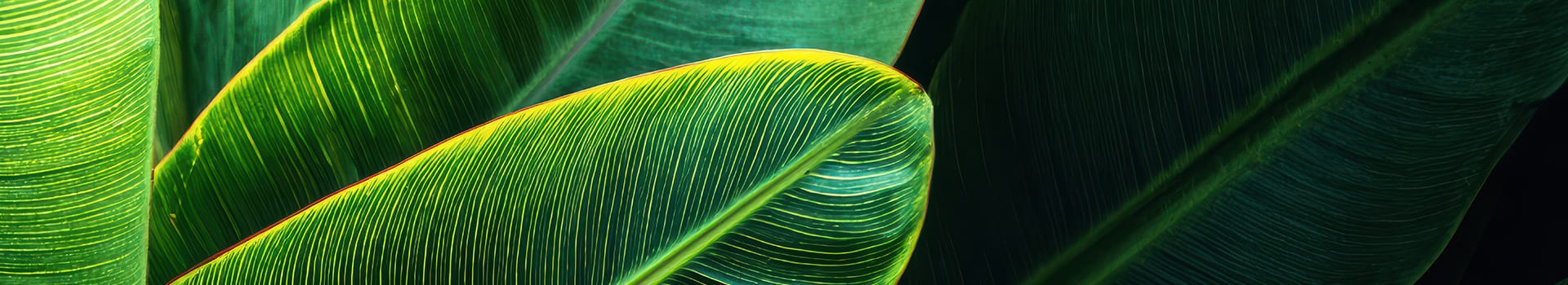 productos de limpieza ecológicos